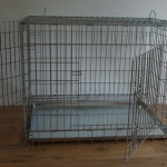 Hundegitterbox frontal